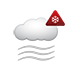 Weather Icon