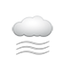 Weather icon