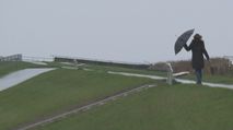 teaser