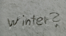 teaser