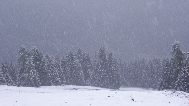 Alpen: So kann's demnächst aussehen