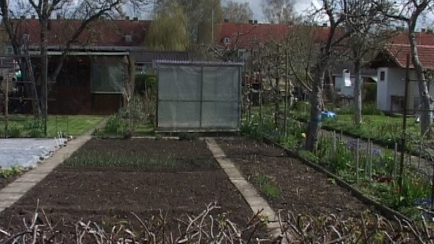 Kleingarten-Anlage im März