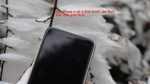 Vergleich iPhone 6 Reifansatz