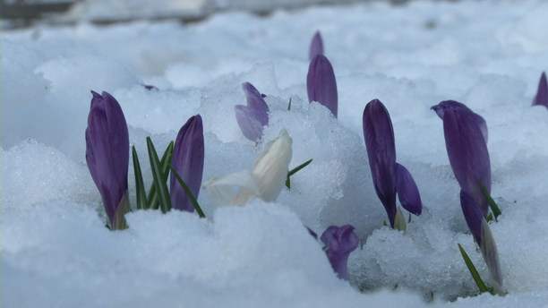Schnee Erzgebirge 04.04.15